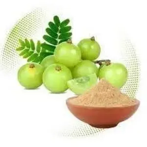 Amla Powder