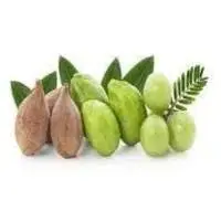 Bulu Nut