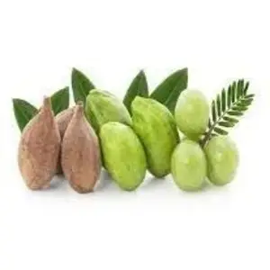 Bulu Nut