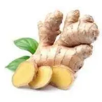 Ginger