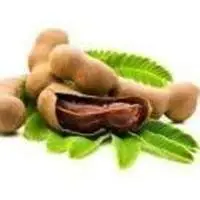 Tamarind