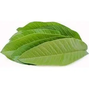 Guava Leaves