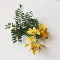 Ranawara Flowers