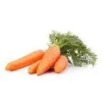 Carrot