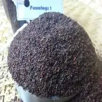 Fannings 1