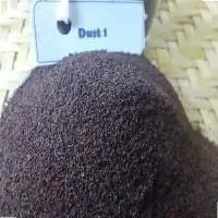 Dust 