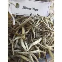 Silver Tips