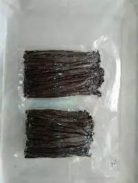 Vanilla Beans