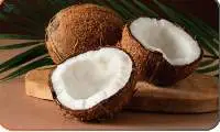 Fresh Coconut
