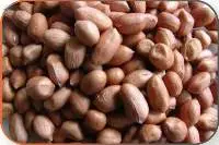 Peanut Seeds