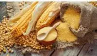 Maize Seeds