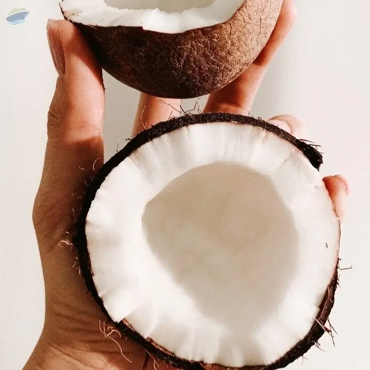 Coconuts