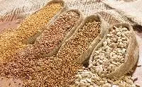 Oil Seeds