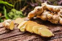 Ginger