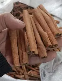 Cinnamon