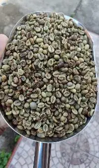 Wholesale Coffee Bean