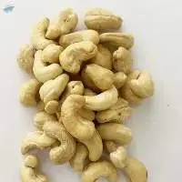 Free Samples Cashew Nuts Ww180 Brc Iso Haccp