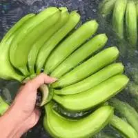 Fresh Cavendish Banana  