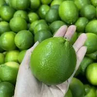 Fresh Seedless Lime Lemon  