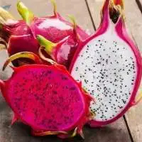 Fresh Dragon Fruit From Vietnam