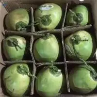 Fresh Young Green Coconut From Vietnam