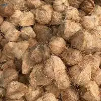 Fresh Mature Semi Husked Coconut  