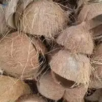 Coconut Shell From Vietnam