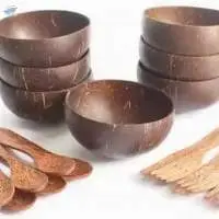 Coconut Bowls, Cutlery, Shell  