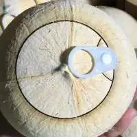 Coconut Opener Fresh Green Young Coconut Water