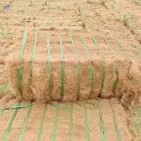 Coconut Fiber From Vietnam
