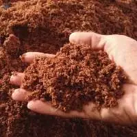Cocopeat Indoor Outdoor Soil for Gardens Plants