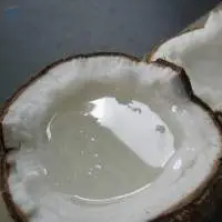 Wax Coconut Full Inside From Vietnam