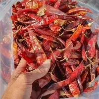 Chili Pepper Red Chili Spices From Vietnam