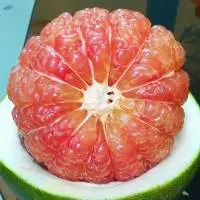 Green Grapefruit Natural Sweet Taste