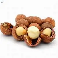 Macadamia Nuts From Vietnam