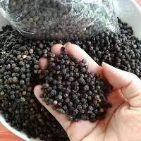 Black Pepper From Vietnam