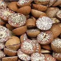 Bulk Dried Betel Nut/ Areca Nut from Viet Nam