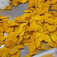 Soft Dried Mango No Sugar Slices 100% Natural