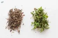 Dried Jelly Grass Leaves