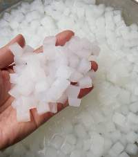 Nata De Coco / Coconut Jelly (Raw)