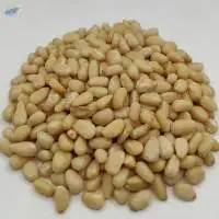 Dried Pine Nut Kernels