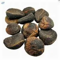 Cola Nuts