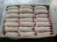 Frozen Pork Meat  