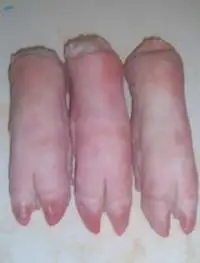 Frozen Pork Meat  
