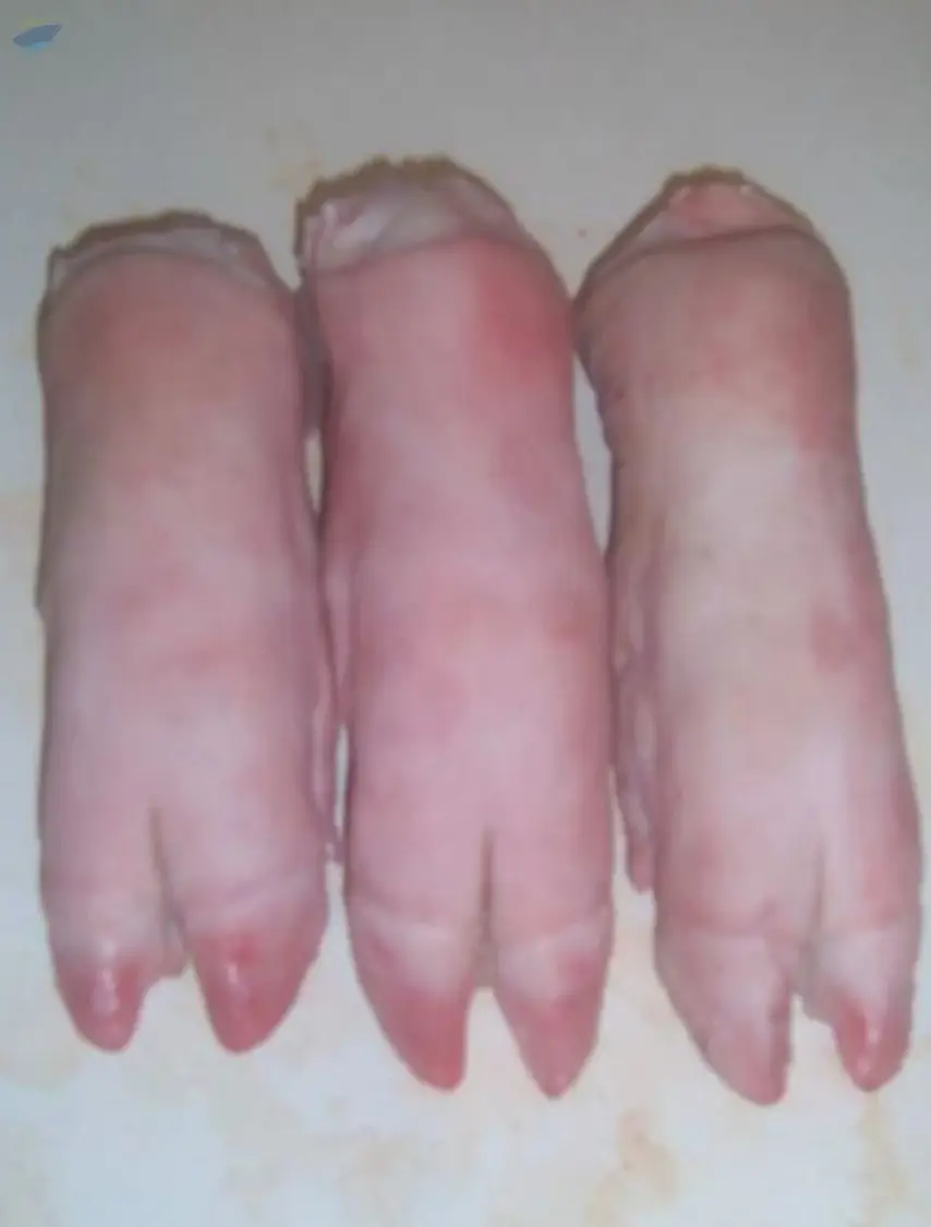 Frozen Pork Meat  