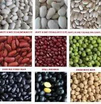 Kidney Beans  