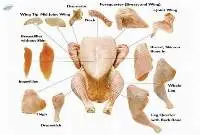 Halal Frozen Chicken Parts