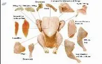 Halal Frozen Chicken Parts
