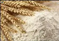 Grade Extra Whole Wheat Flour  