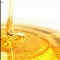 Organic Raw Honey  